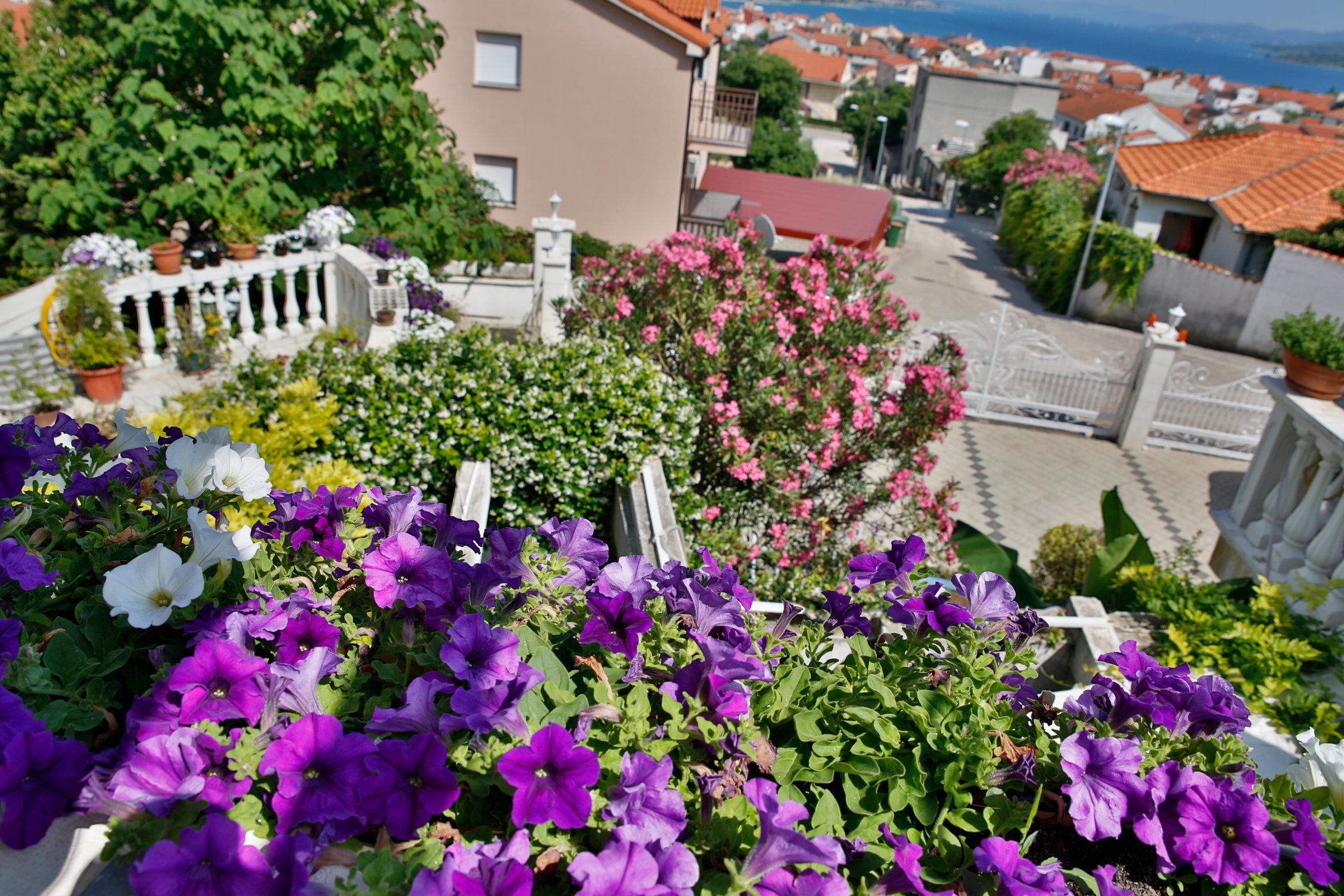 vodice-jukic_apartment-2_balcony-flowers